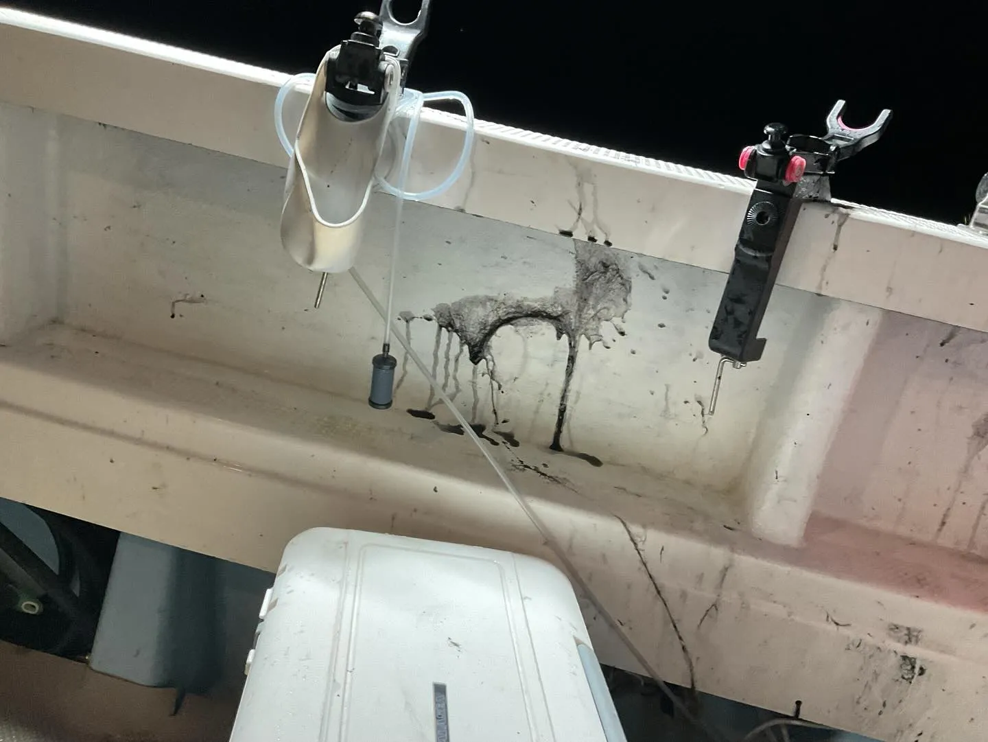 イカの入れ食いタイムであちらこちらスミだらけになってます😱