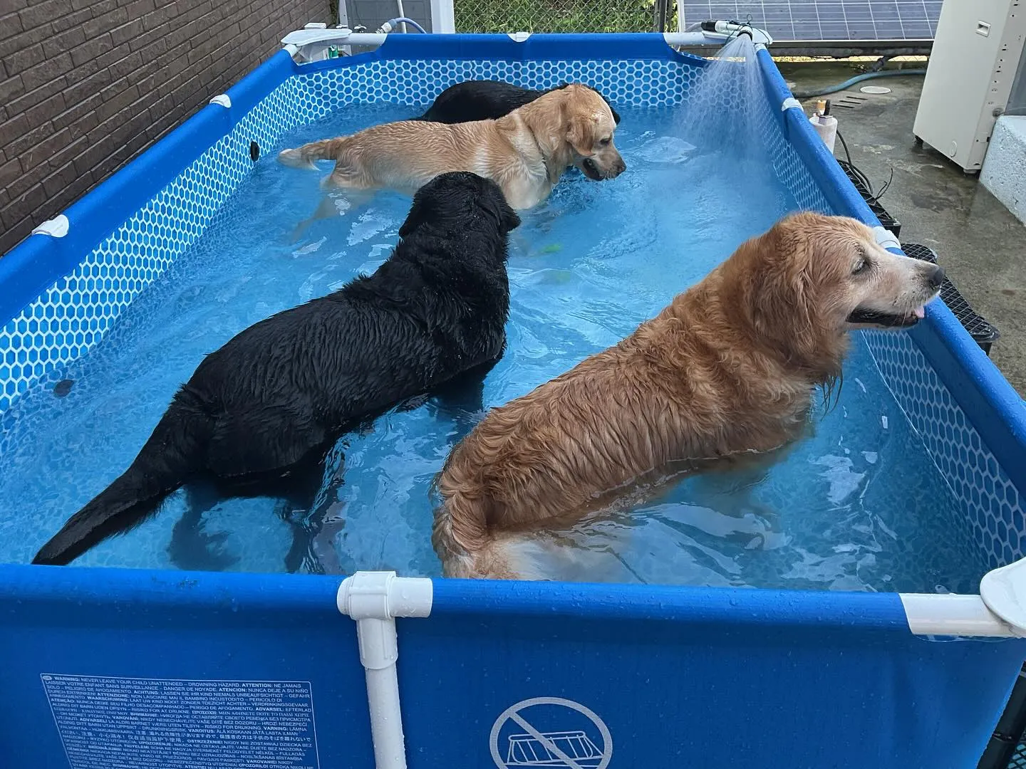 時化中止ばかりで昨日やっと出船しましたが、ゴミだらけの水潮で...
