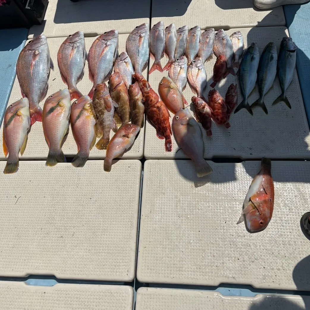 先週土曜日の釣果です。